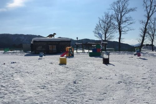 スキージャム勝山ビキッズパークの雪遊びエリアの風景