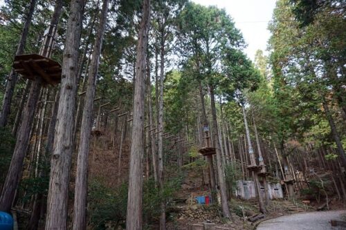 チャレンジコースの風景