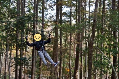 ジップラインを滑っている様子