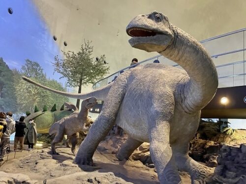 福井県立恐竜博物館の館内