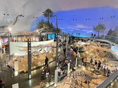 福井県立恐竜博物館の館内