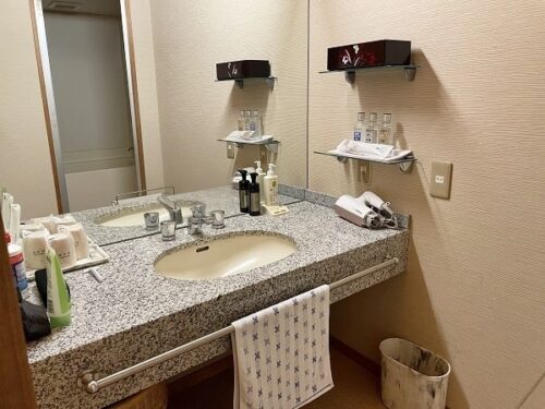 灰屋のお部屋の洗面