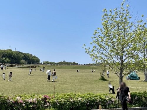 ニジゲンノモリの広場