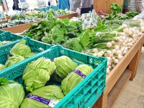 道の駅能勢くりの郷の野菜売り場