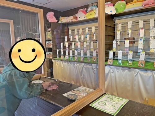 天橋立ビューランドで射的