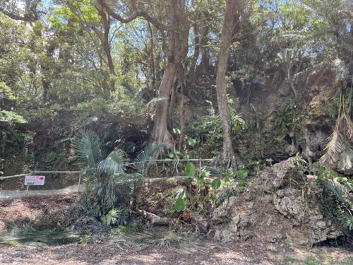 鍾乳洞CAVE OKINAWAの入り口