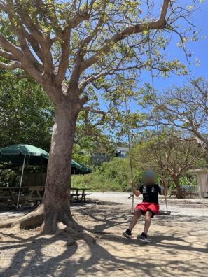 鍾乳洞CAVE OKINAWAでのブランコ