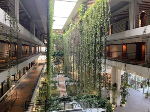 ザ・ムーンビーチミュージアムリゾート