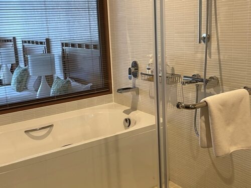 ザ・ムーンビーチミュージアムリゾートのバスルーム